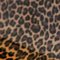 Oro leopardo - DHS-863